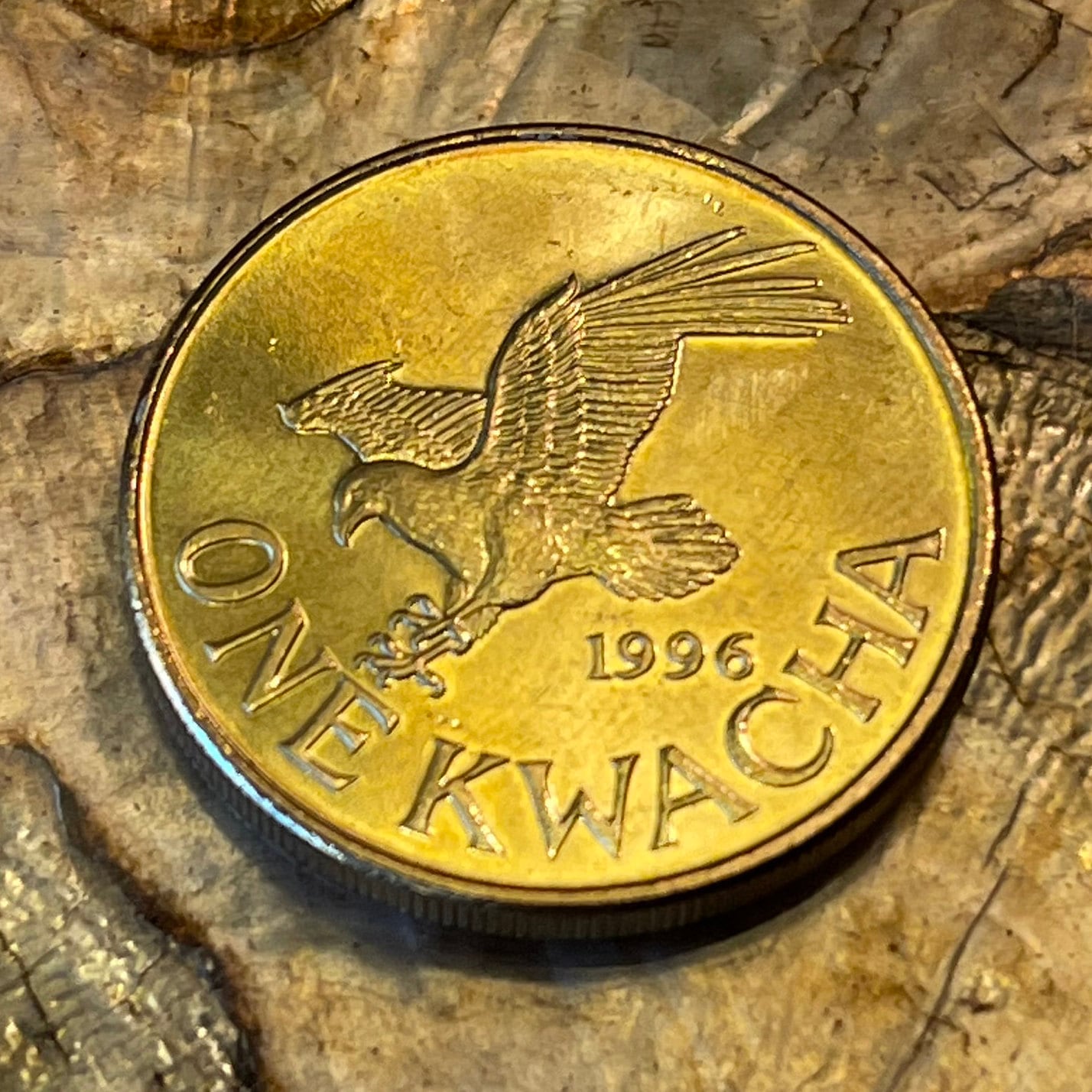 Fish Eagle & President Muluzi Malawi 1 Kwacha Authentic Coin Money for Jewelry and Craft Making (President Bakili Muluzi)