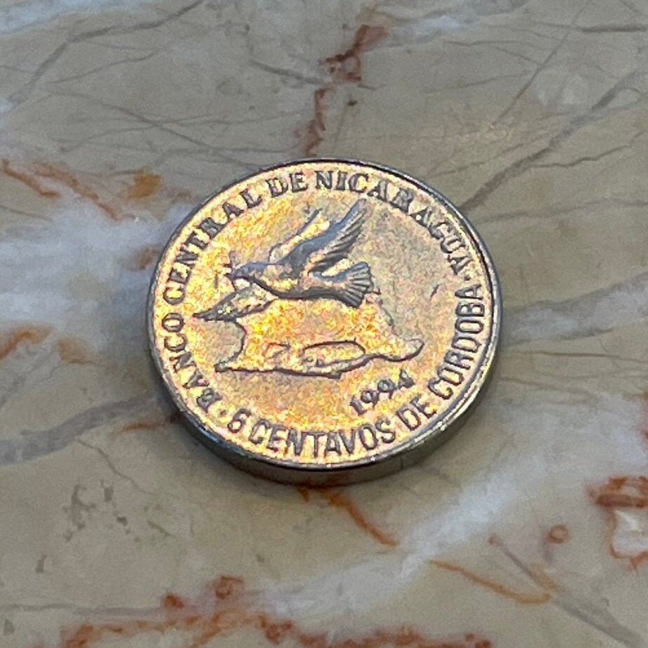 Turquoise-browed Motmot Nicaragua 5 Centavos Authentic Coin Money for Jewelry and Craft Making