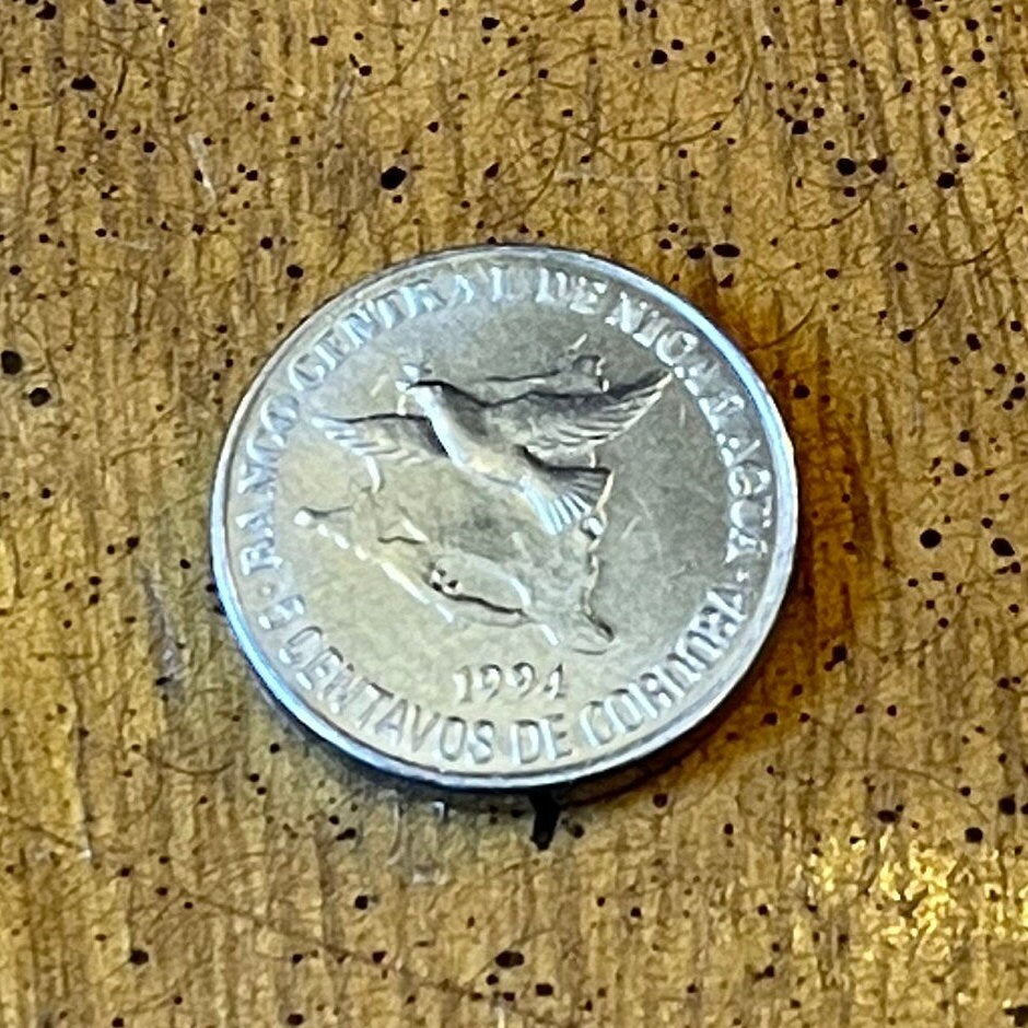 Turquoise-browed Motmot Nicaragua 5 Centavos Authentic Coin Money for Jewelry and Craft Making