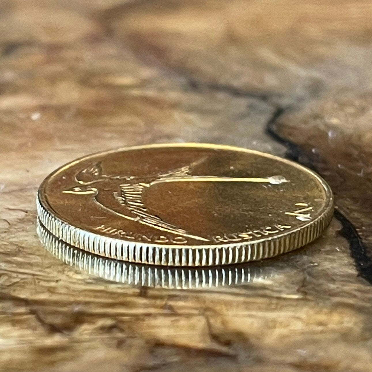 Barn Swallow Slovenia 2 Tolarja Authentic Coin Money for Jewelry and Craft Making