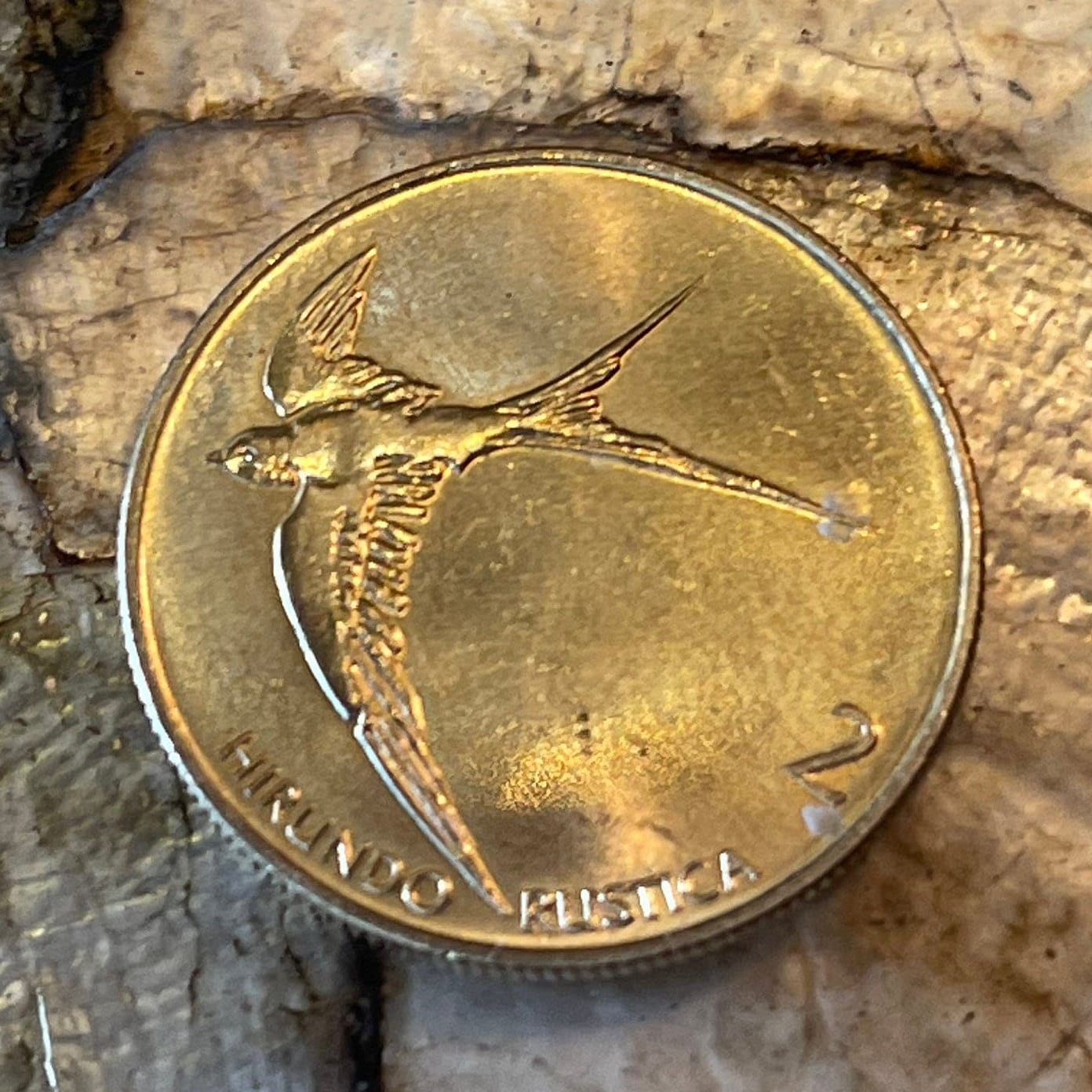 Barn Swallow Slovenia 2 Tolarja Authentic Coin Money for Jewelry and Craft Making