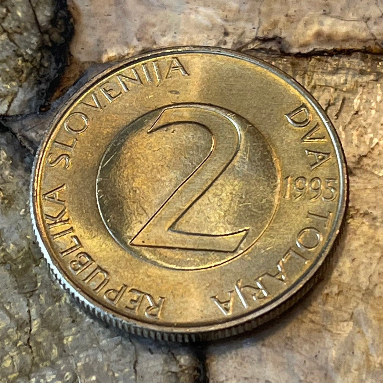 Barn Swallow Slovenia 2 Tolarja Authentic Coin Money for Jewelry and Craft Making