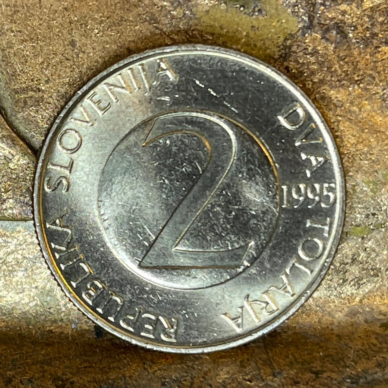 Barn Swallow Slovenia 2 Tolarja Authentic Coin Money for Jewelry and Craft Making