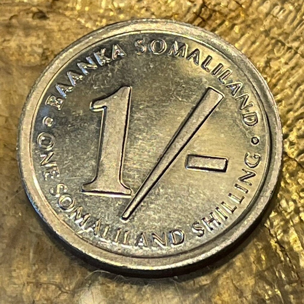 Somali Pigeon 1 Shilling Somaliland Authentic Coin Money for Jewelry and Craft Making