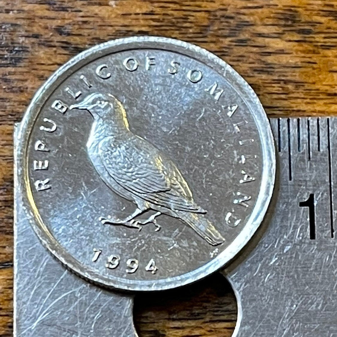 Somali Pigeon 1 Shilling Somaliland Authentic Coin Money for Jewelry and Craft Making