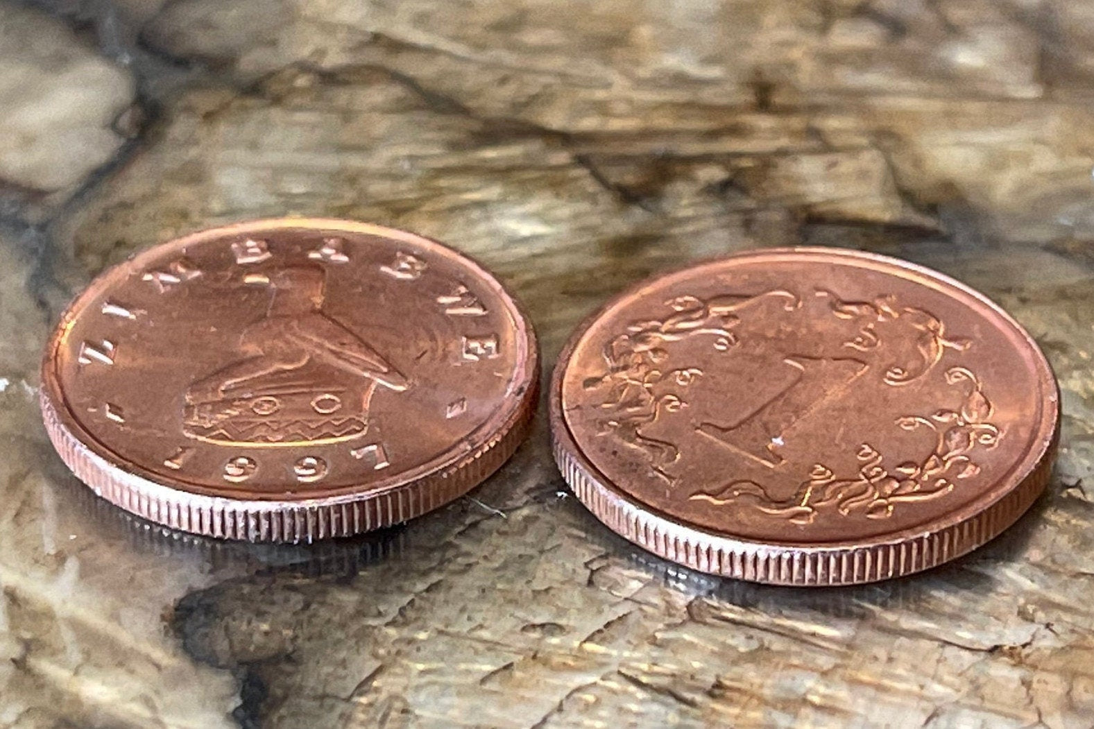 Great Zimbabwe Bird 1 Cent Bacheleur Eagle Authentic Coin Money for Jewelry and Craft Making