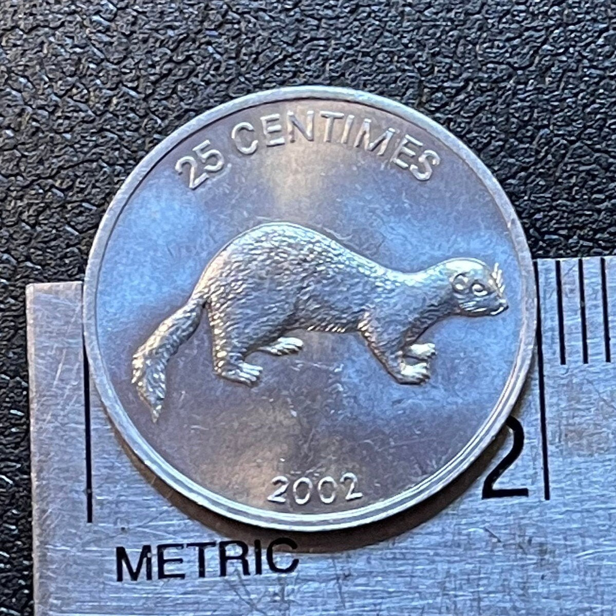 Weasel & Lion 25 Centimes Congo Authentic Coin Money for Jewelry and Craft Making