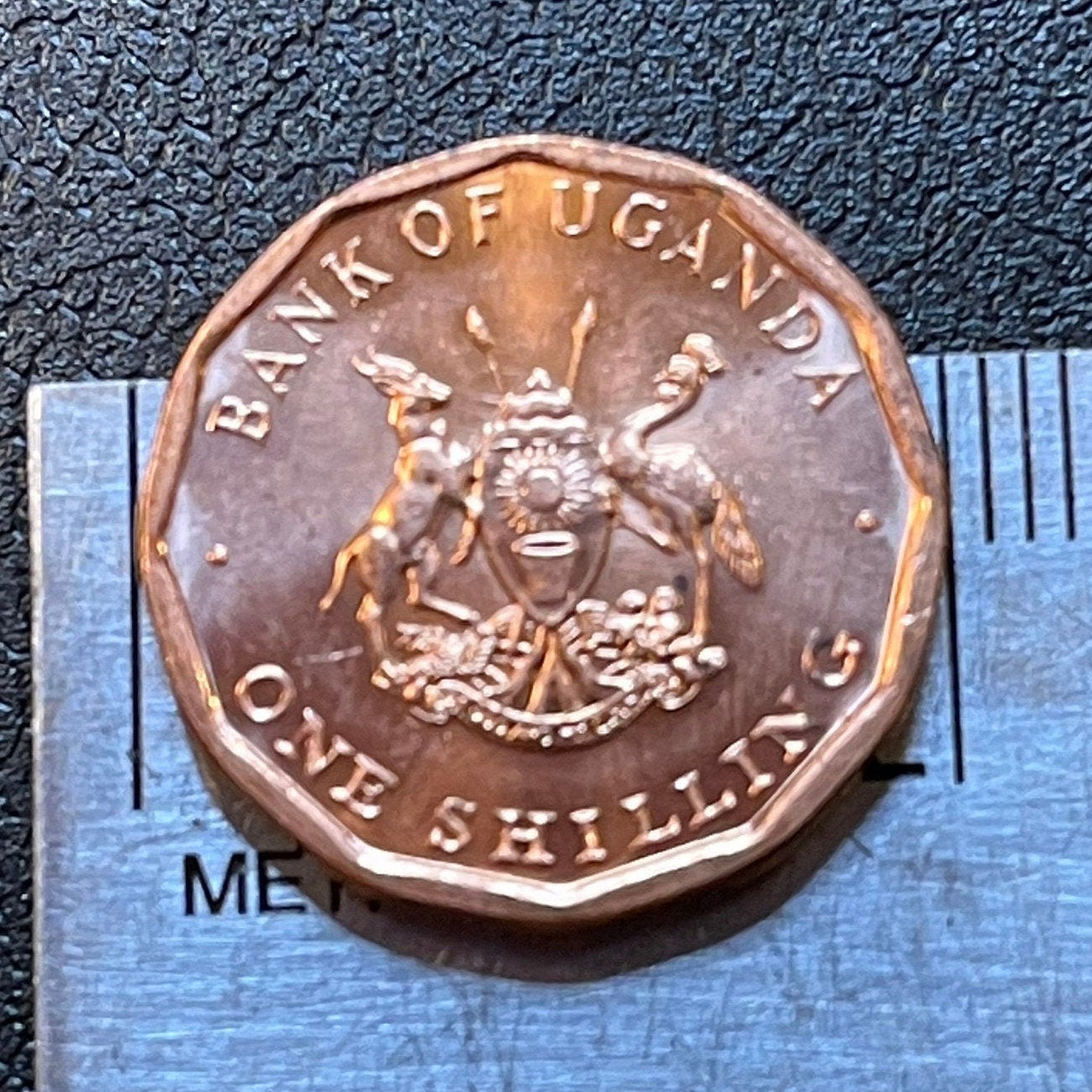 Cotton & Nuts 1 Shilling Uganda Authentic Coin Money for Jewelry and Craft Making