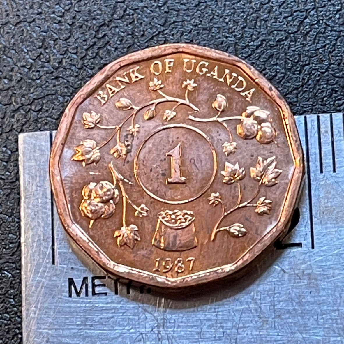Cotton & Nuts 1 Shilling Uganda Authentic Coin Money for Jewelry and Craft Making