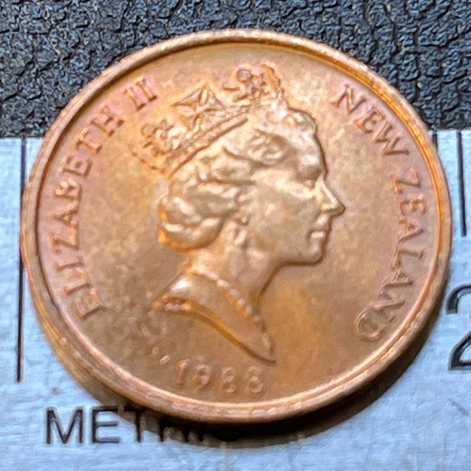 Silver Tree Fern New Zealand 1 Cent Authentic Coin Money for Jewelry and Craft Making