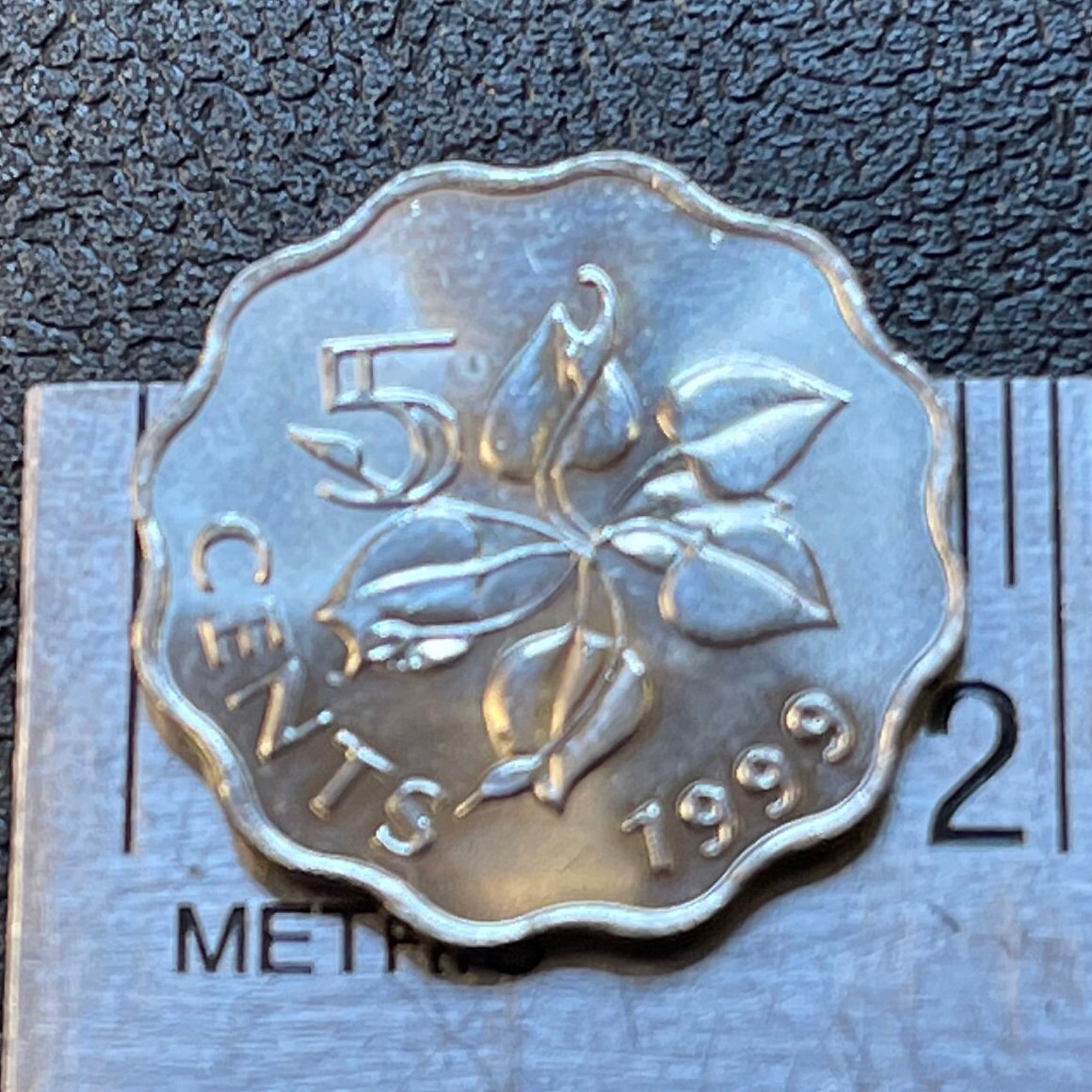 Calla Lily 5 Cents Swaziland Authentic Coin Money for Jewelry and Craft Making