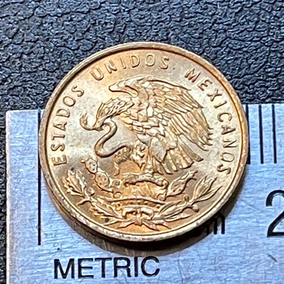 Eagle w/Snake & Wheat 1 Centavo Mexico Authentic Coin Money for Jewelry and Craft Making