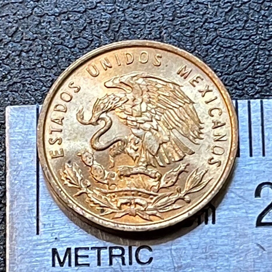 Eagle w/Snake & Wheat 1 Centavo Mexico Authentic Coin Money for Jewelry and Craft Making
