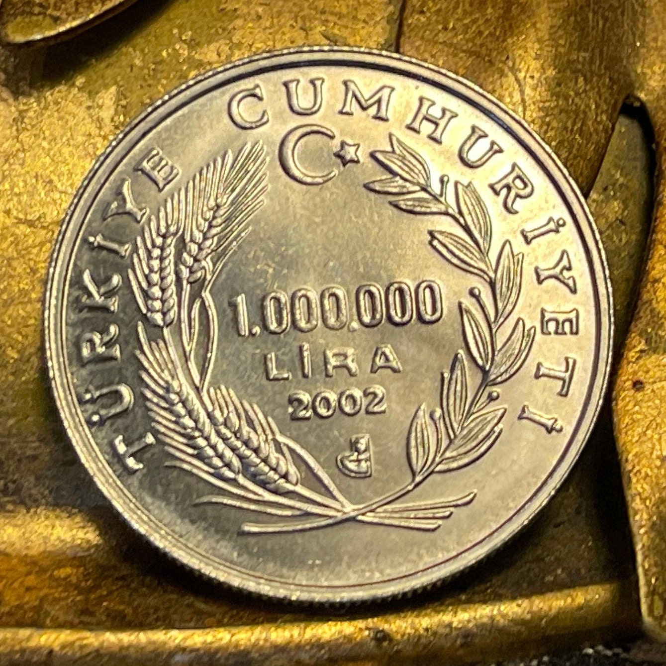 Yunus Dervish Million Lira Turkey Authentic Coin Money for Jewelry and Craft Making
