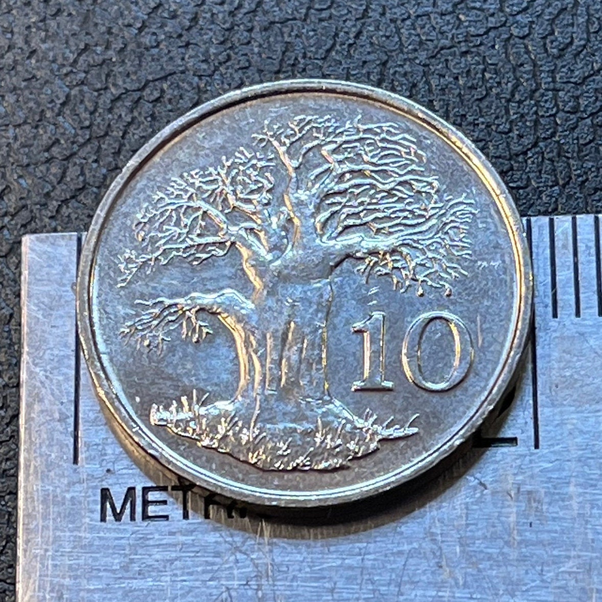 Baobab Tree & Zimbabwe Bird 10 Cents Bacheleur Eagle Authentic Coin Money for Jewelry and Craft Making