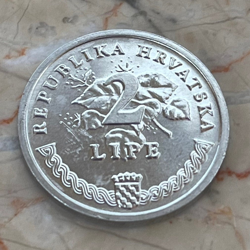 Grapevine 2 Lipe Croatia Authentic Coin Money for Jewelry and Craft Making (Wine) (Linden Tree)