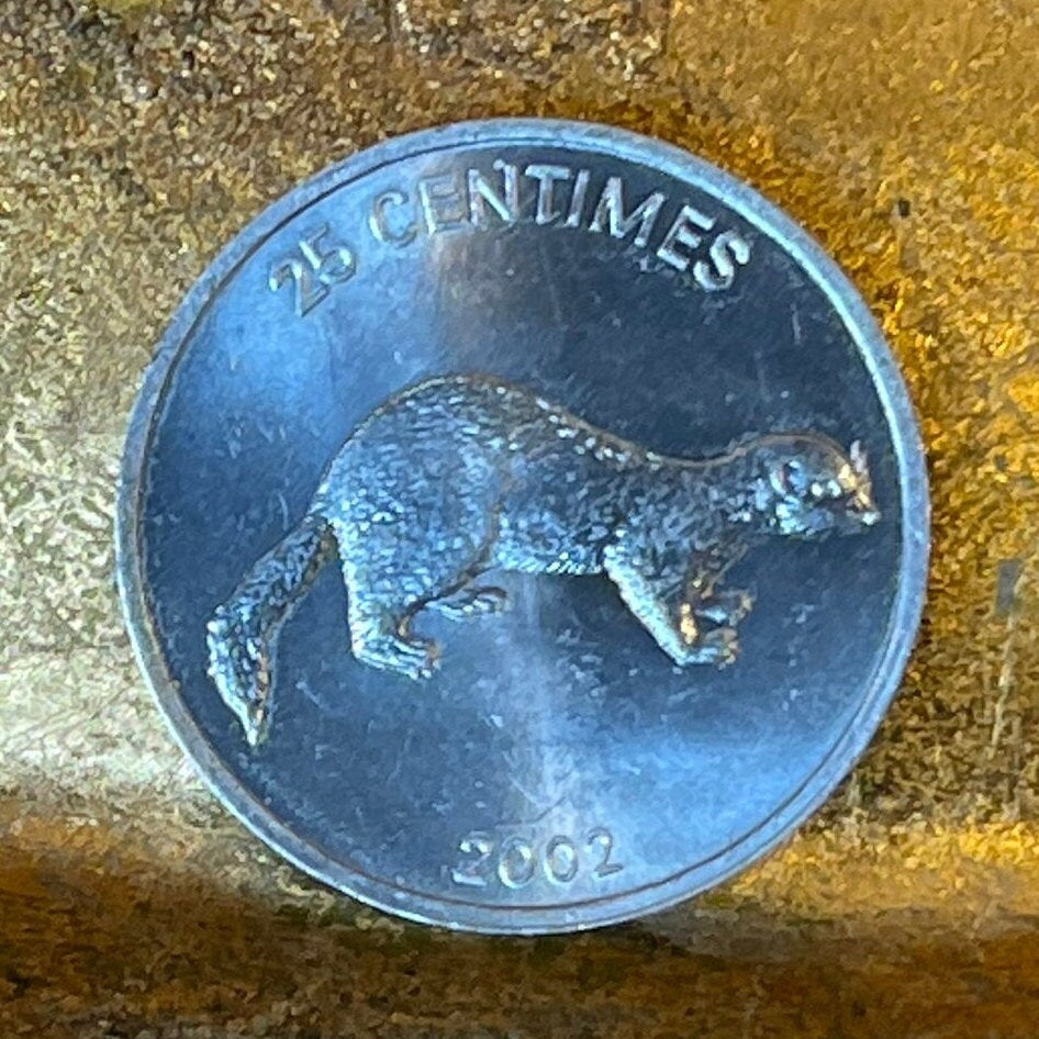 Weasel & Lion 25 Centimes Congo Authentic Coin Money for Jewelry and Craft Making