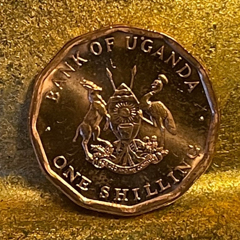 Cotton & Nuts 1 Shilling Uganda Authentic Coin Money for Jewelry and Craft Making