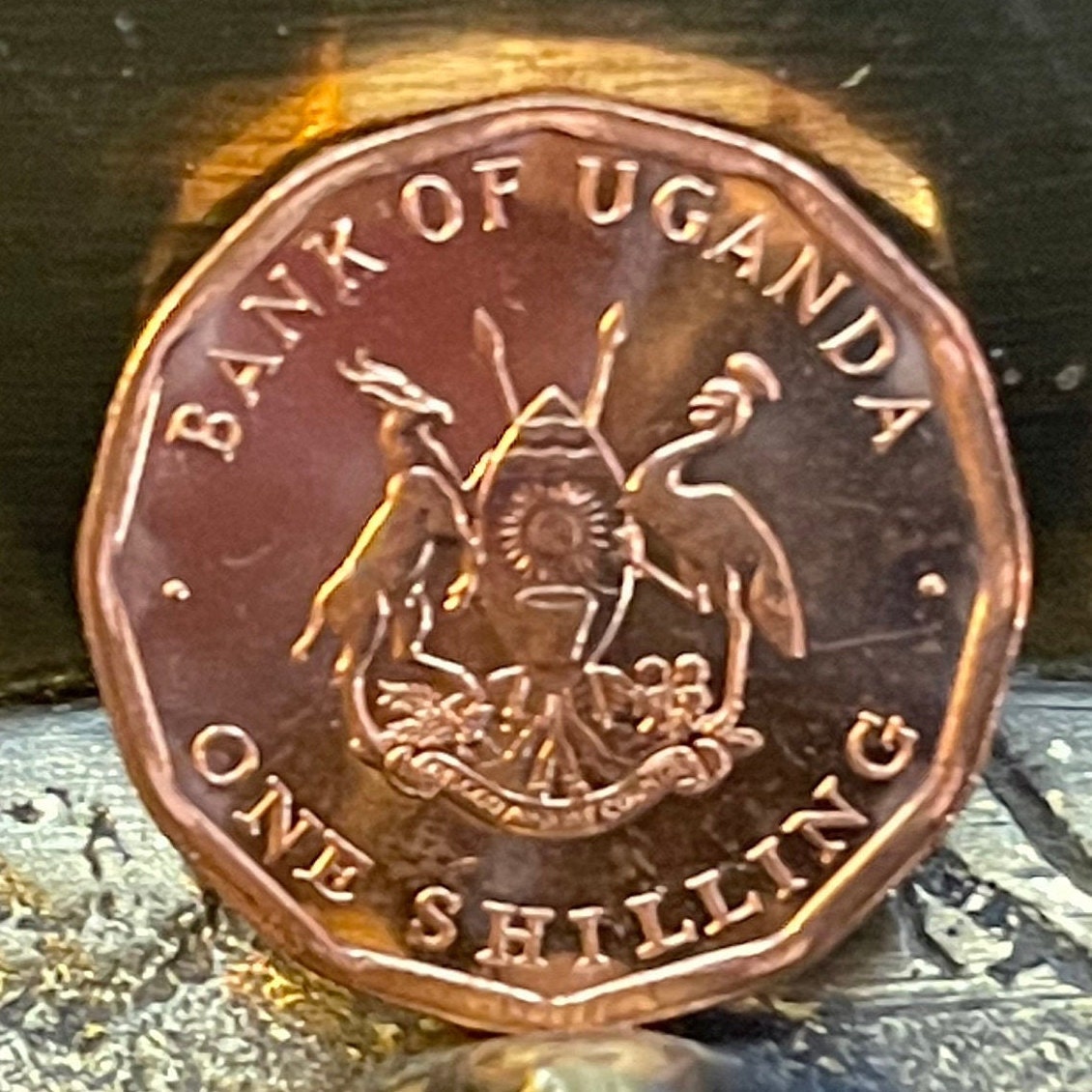Cotton & Nuts 1 Shilling Uganda Authentic Coin Money for Jewelry and Craft Making