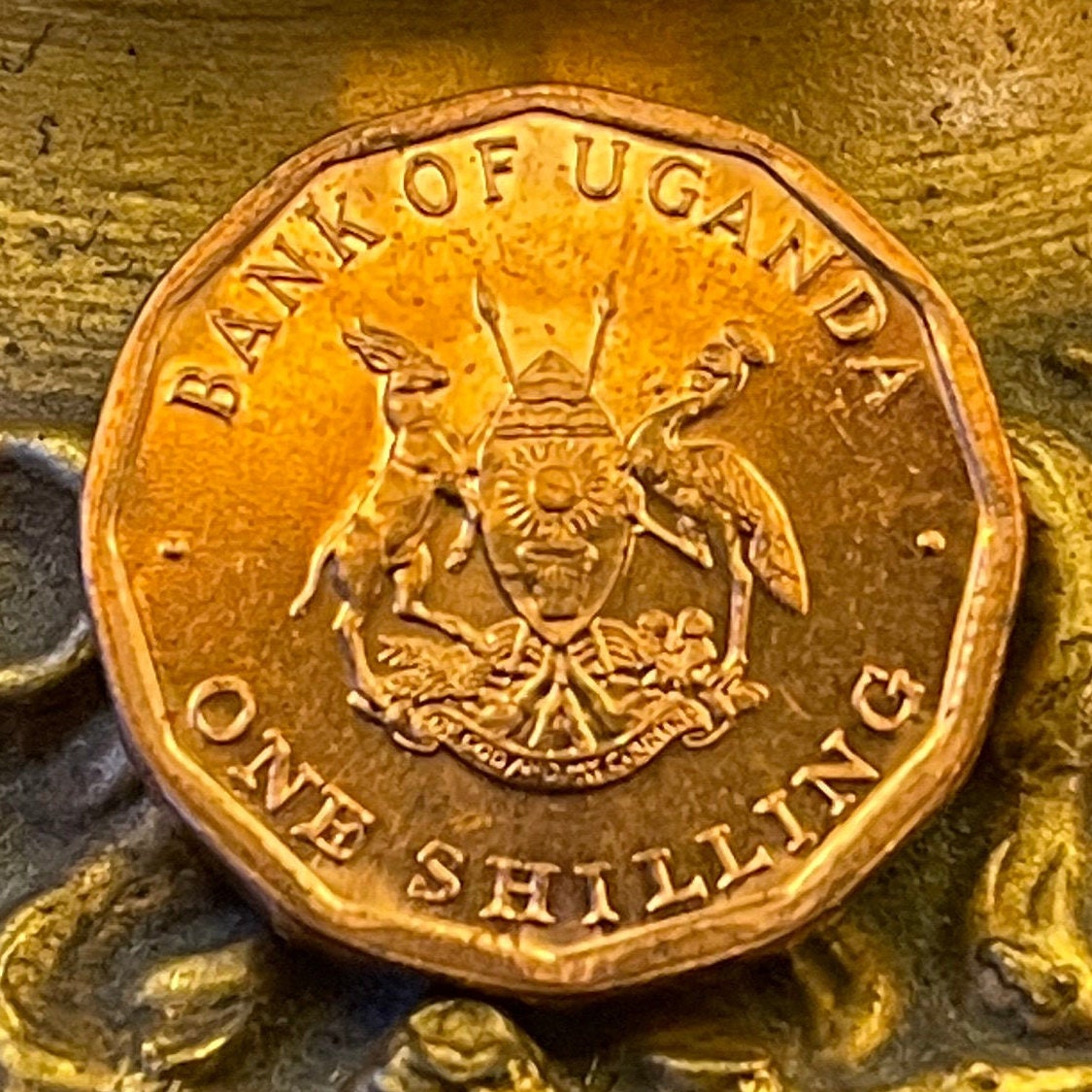Cotton & Nuts 1 Shilling Uganda Authentic Coin Money for Jewelry and Craft Making
