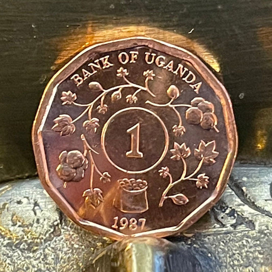 Cotton & Nuts 1 Shilling Uganda Authentic Coin Money for Jewelry and Craft Making