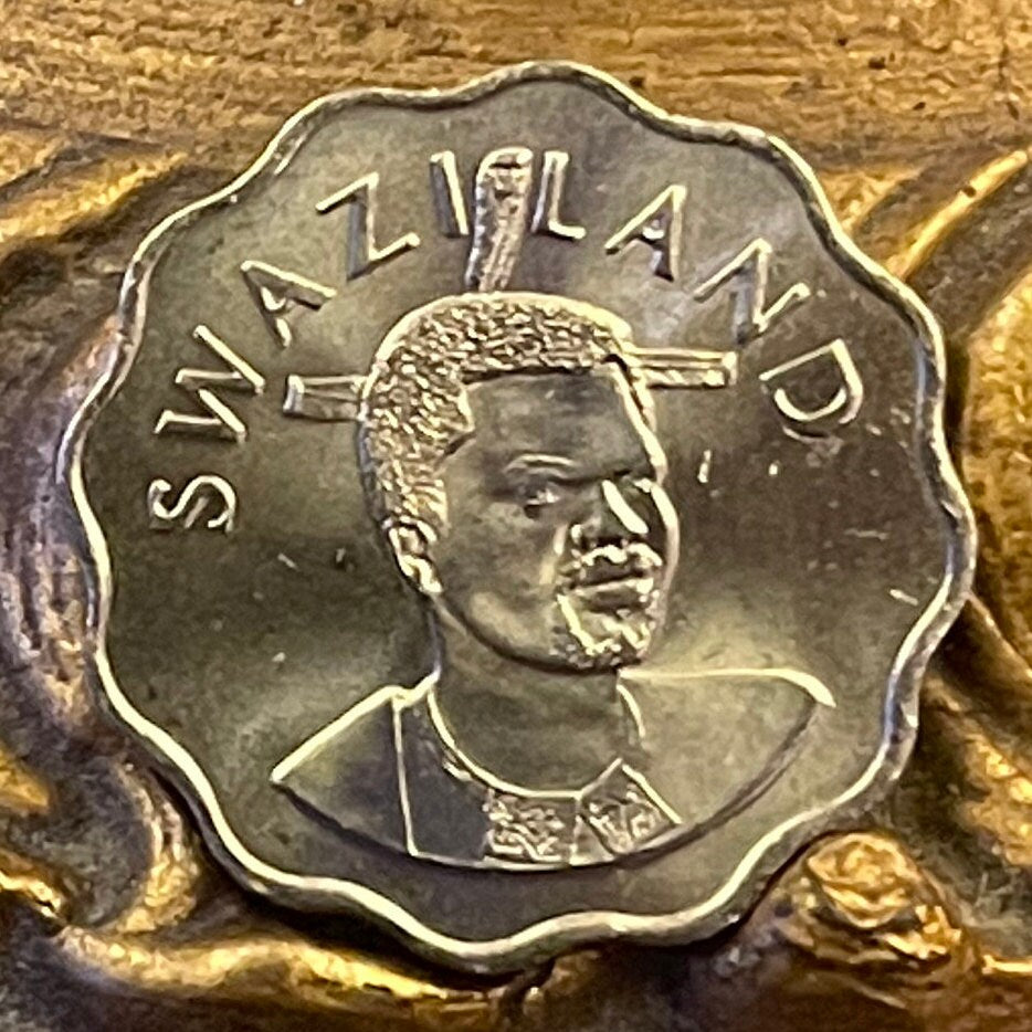 Calla Lily 5 Cents Swaziland Authentic Coin Money for Jewelry and Craft Making
