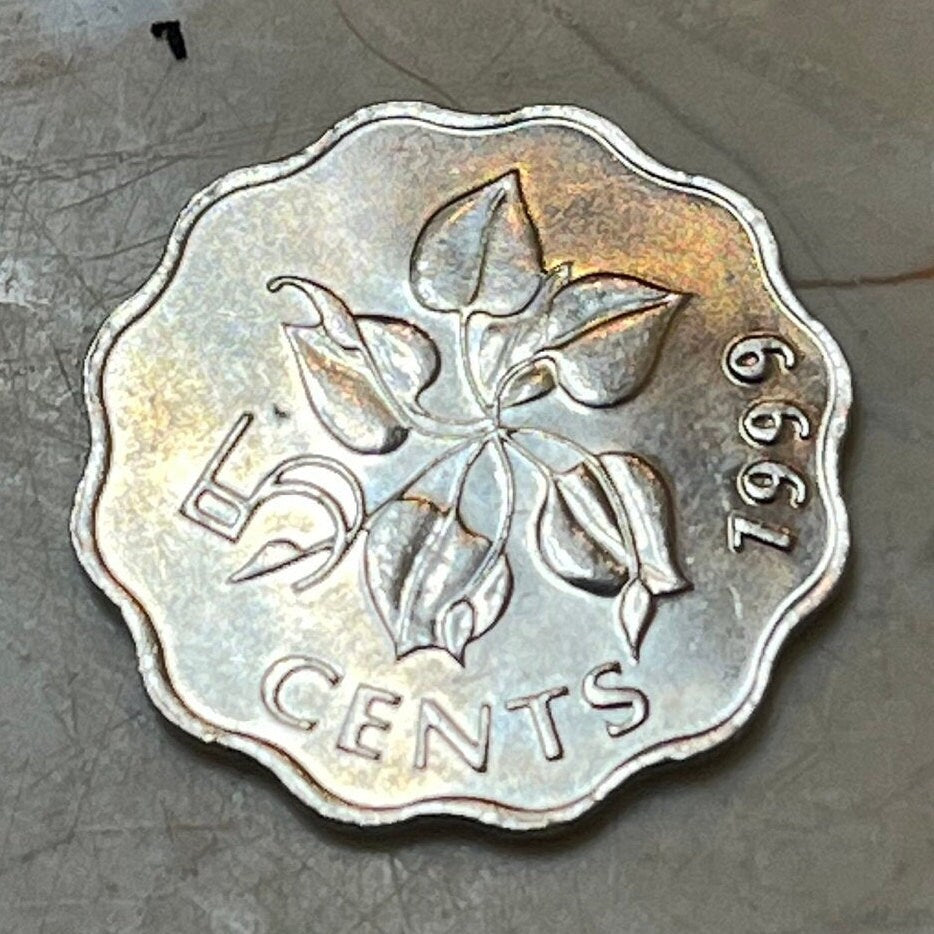 Calla Lily 5 Cents Swaziland Authentic Coin Money for Jewelry and Craft Making