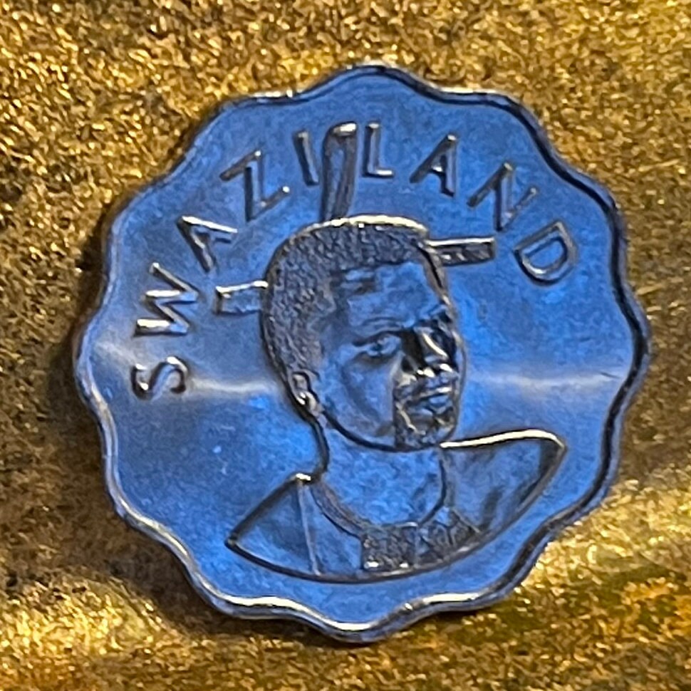 Calla Lily 5 Cents Swaziland Authentic Coin Money for Jewelry and Craft Making