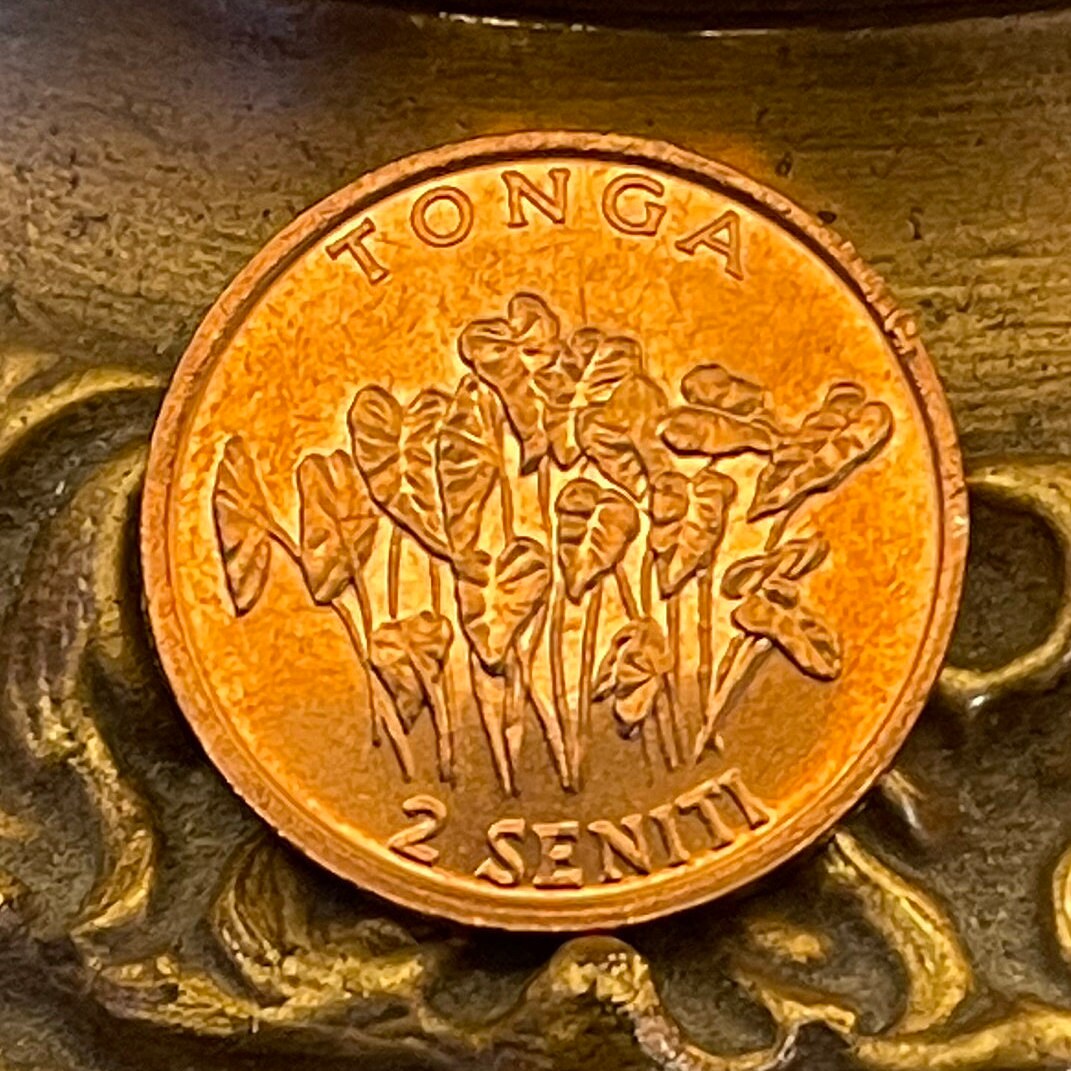 Taro Plant & "Food For All" 2 Seniti Tonga Authentic Coin Money for Jewelry and Craft Making (Family Planning) (United Nations)