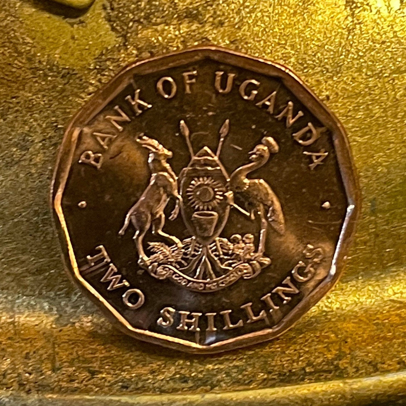 Cotton & Nuts 2 Shillings Uganda Authentic Coin Money for Jewelry and Craft Making