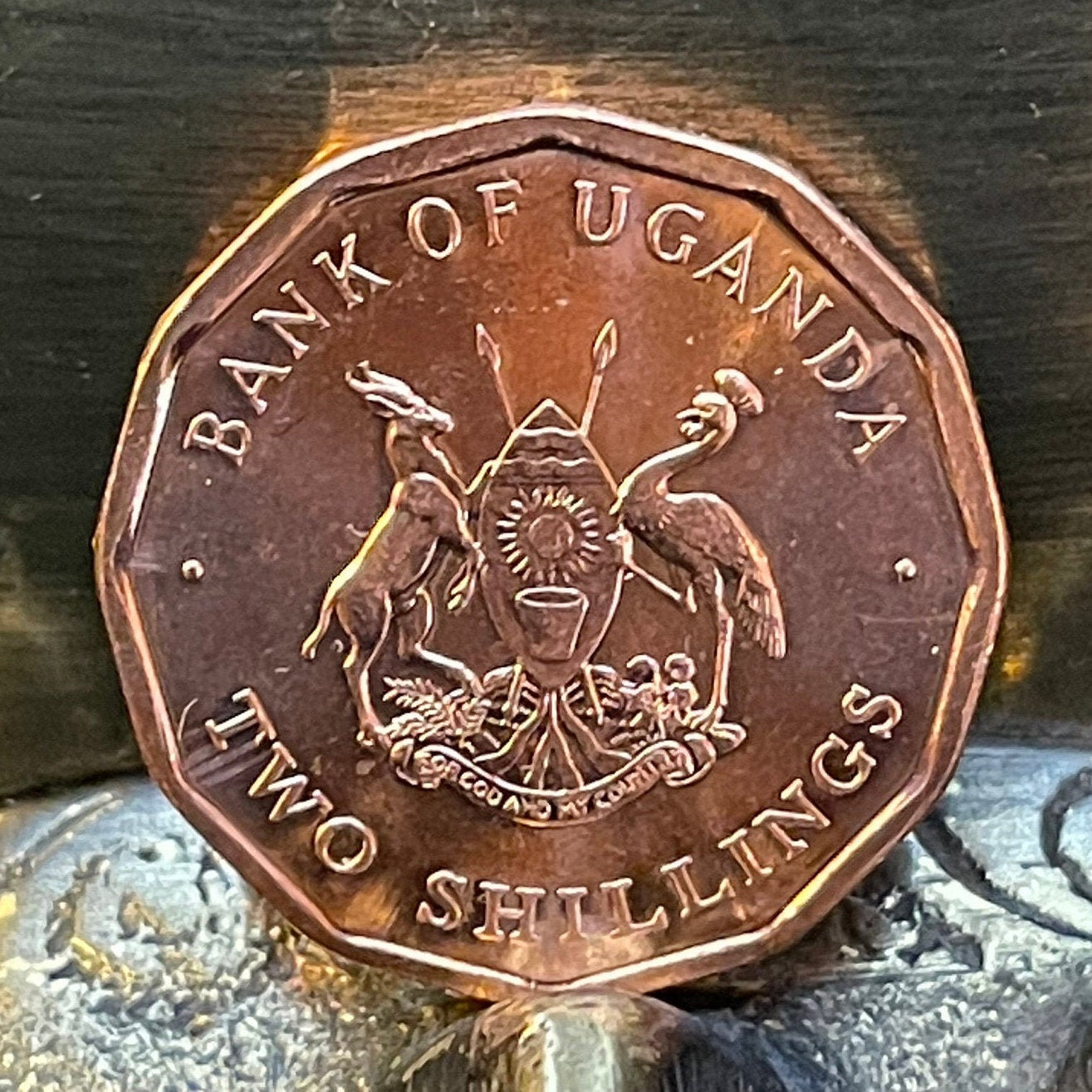 Cotton & Nuts 2 Shillings Uganda Authentic Coin Money for Jewelry and Craft Making