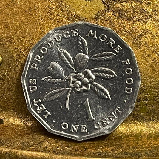 Ackee Fruit & "Produce Food" Jamaica 1 Cent Authentic Coin Money for Jewelry and Craft Making