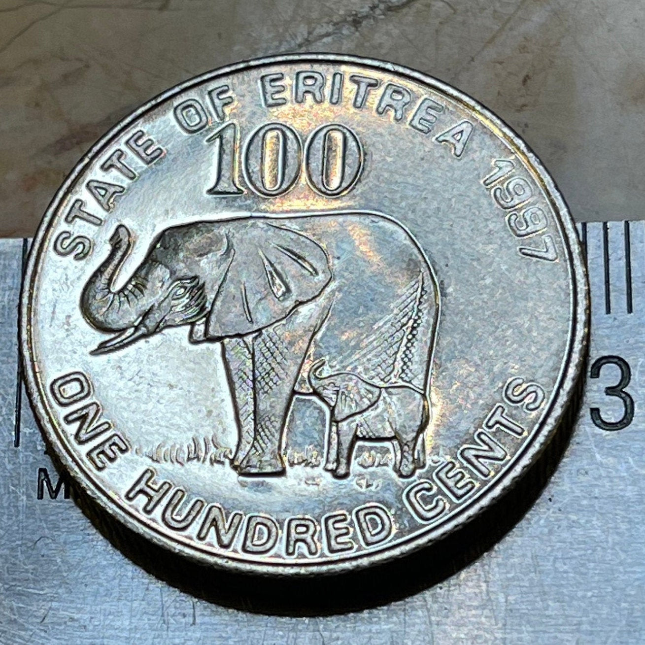 Elephant with Baby & Liberty Equality Justice 100 Cents Eritrea Authentic Coin Money for Jewelry and Craft Making