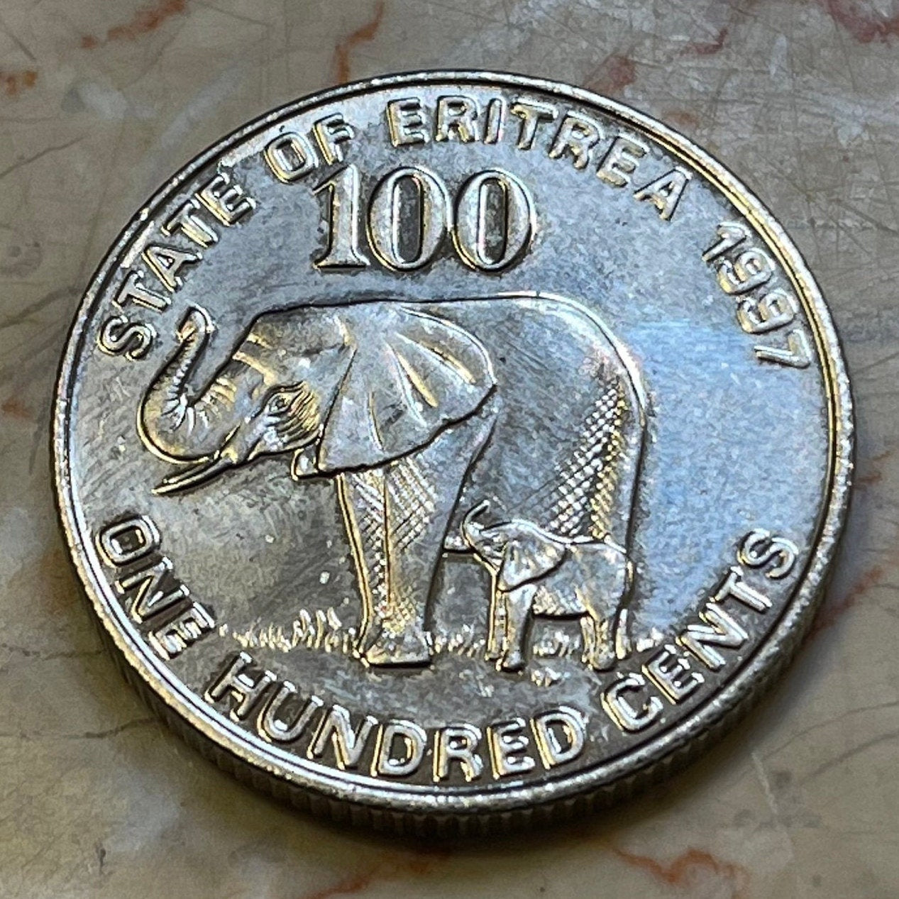Elephant with Baby & Liberty Equality Justice 100 Cents Eritrea Authentic Coin Money for Jewelry and Craft Making