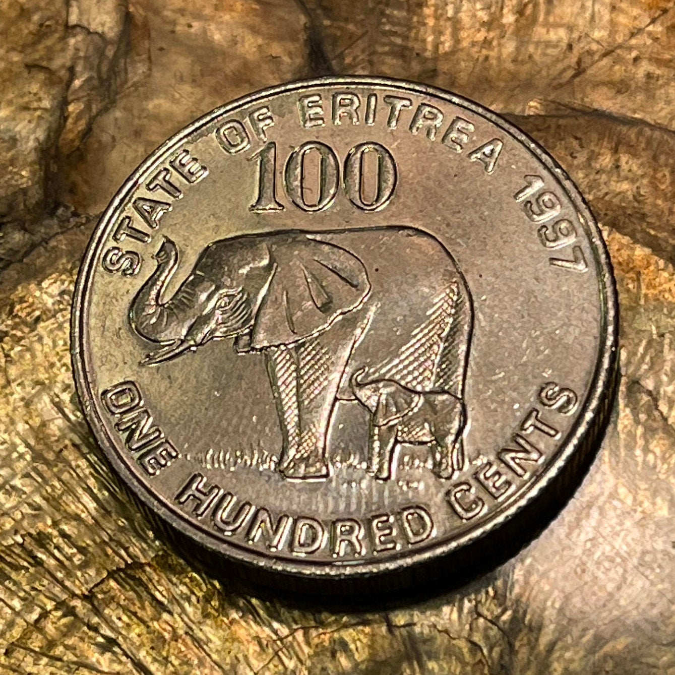 Elephant with Baby & Liberty Equality Justice 100 Cents Eritrea Authentic Coin Money for Jewelry and Craft Making