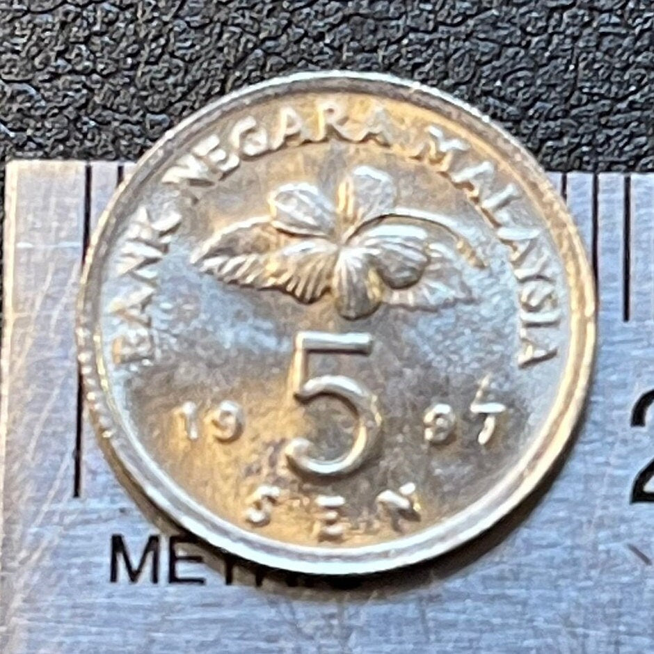 Gasing Spinning-Top Malaysia 5 Sen Authentic Coin Money for Jewelry and Craft Making
