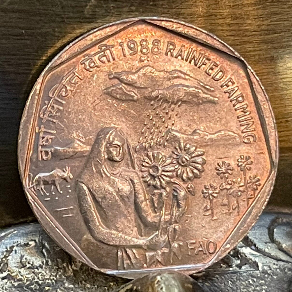 Ashoka Lion Capitol 1 Rupee India Authentic Coin Money for Jewelry and Craft Making (Rainfed Farming) FAO