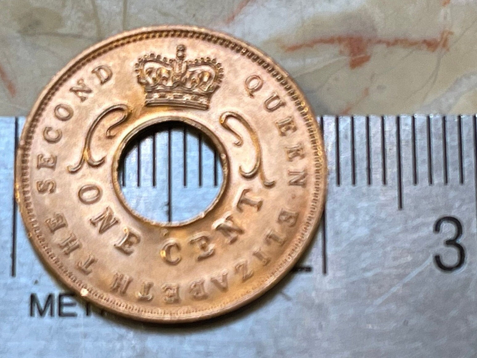 Elephant Tusks 1 Cent East Africa Authentic Coin Money for Jewelry and Craft Making