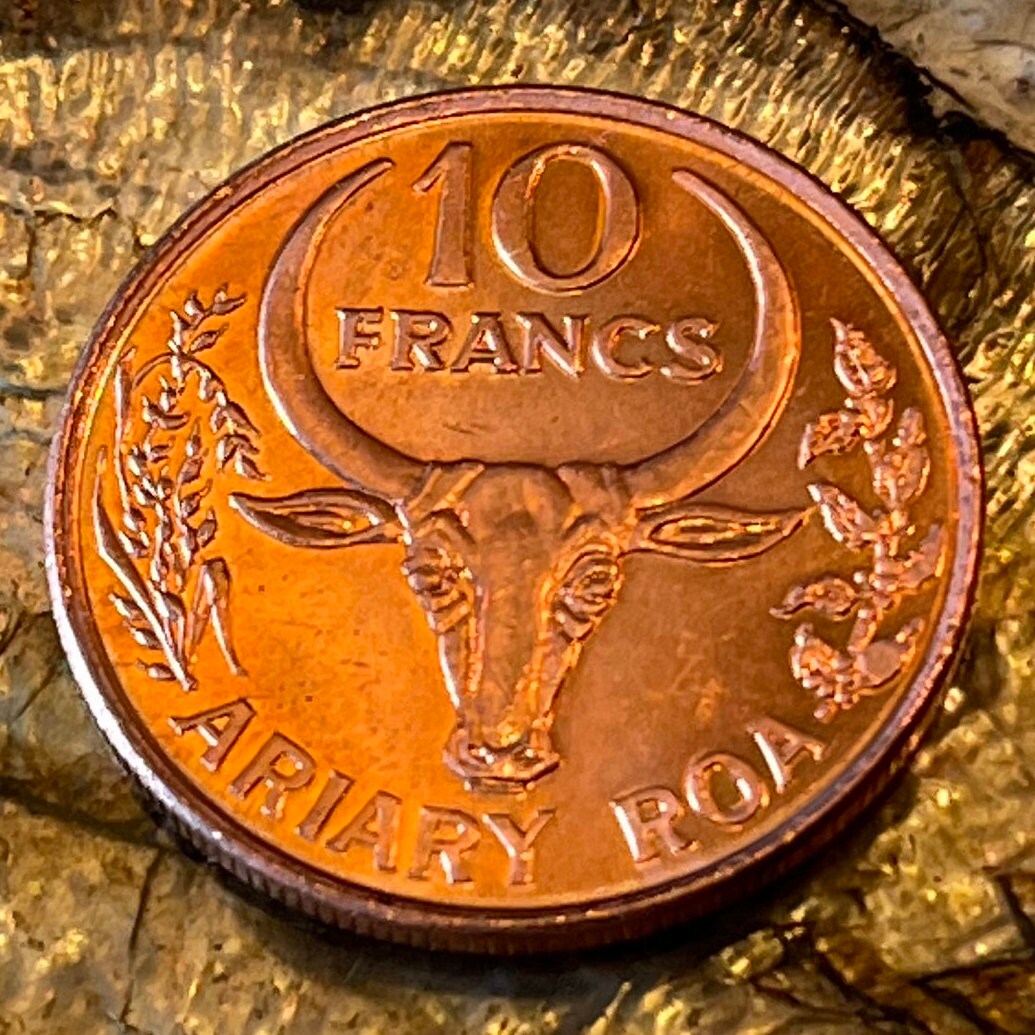 Vanilla and Zebu 10 Francs Madagascar Authentic Coin Money for Jewelry and Craft Making (2 Ariary) (Omby)