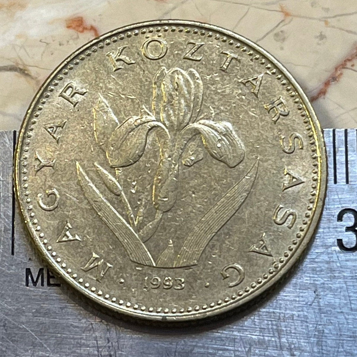 Hungarian Iris 20 Forint Hungary Coin Money for Jewelry and Craft Making