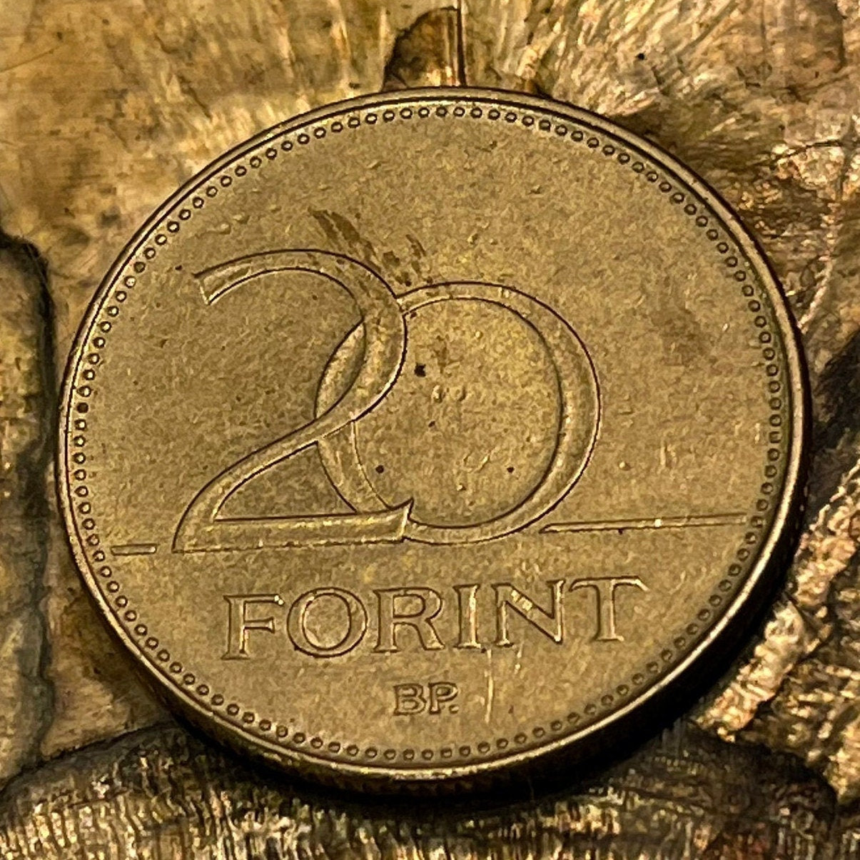 Hungarian Iris 20 Forint Hungary Coin Money for Jewelry and Craft Making