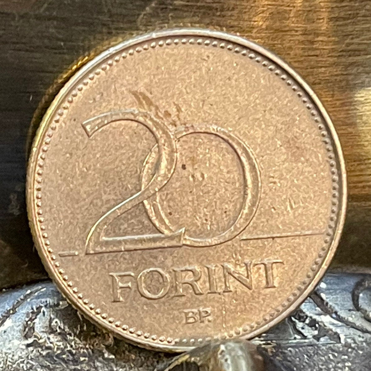 Hungarian Iris 20 Forint Hungary Coin Money for Jewelry and Craft Making