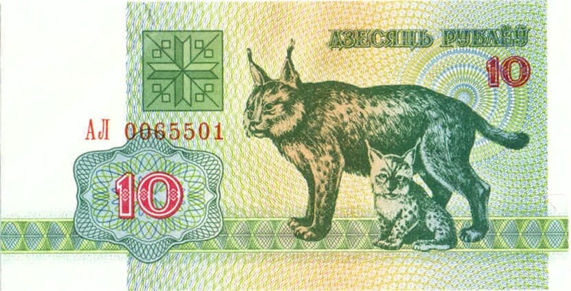 Lynx Kitten 10 Rublei Belarus Authentic Banknote for Craft Making (Pahonia)