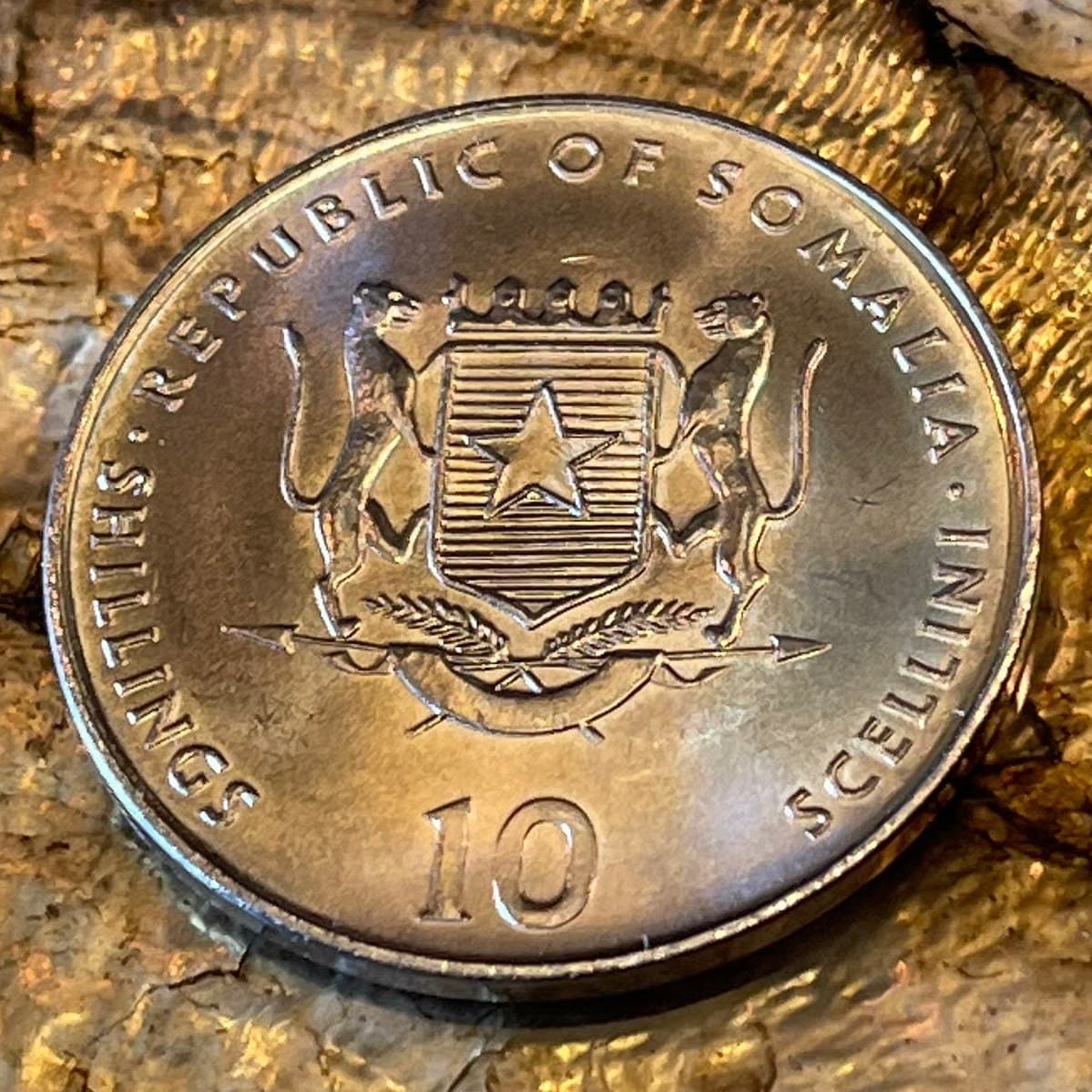 Year of the Goat Chinese Zodiac 10 Shillings Somalia Authentic Coin Money for Jewelry and Craft Making 1955 1967 1979 1991 2003