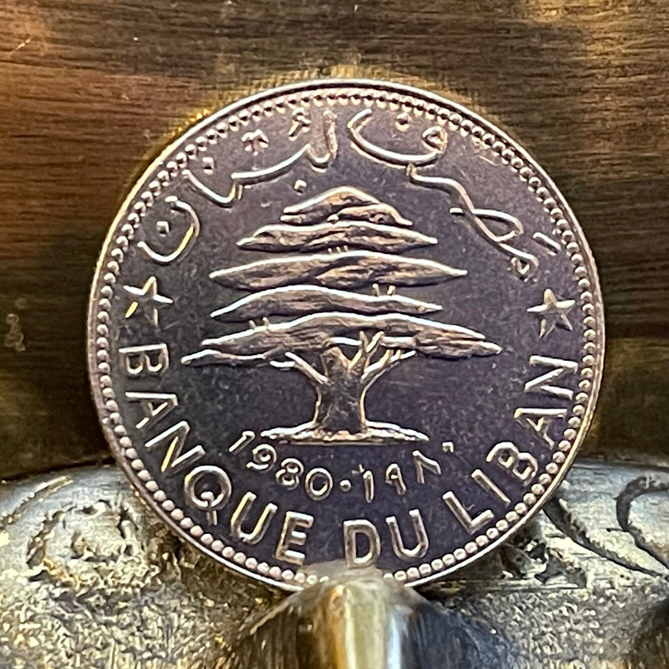 Cedar of Lebanon 50 Piastres Lebanon Authentic Coin Money for Jewelry and Craft Making (50 Qirsha) (Gilgamesh) 1980