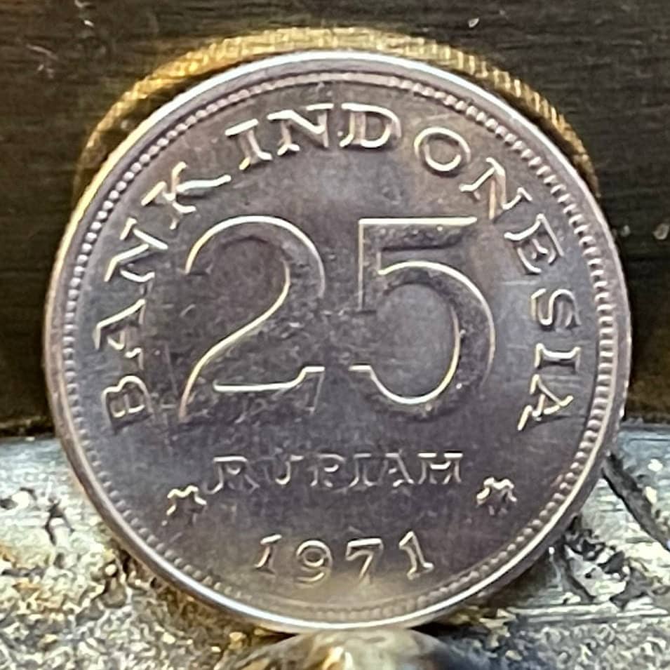 Victoria Crowned Pigeon 25 Rupiah Indonesia Authentic Coin Money for Jewelry and Craft Making