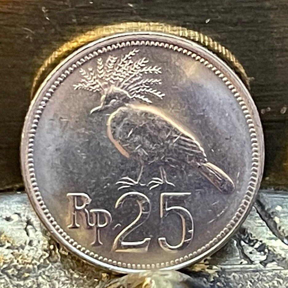 Victoria Crowned Pigeon 25 Rupiah Indonesia Authentic Coin Money for Jewelry and Craft Making