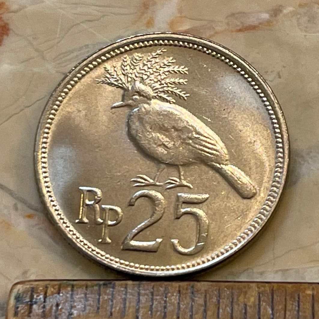 Victoria Crowned Pigeon 25 Rupiah Indonesia Authentic Coin Money for Jewelry and Craft Making