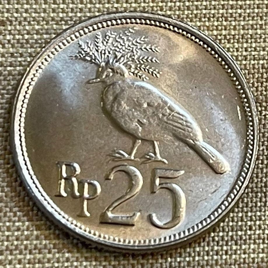 Victoria Crowned Pigeon 25 Rupiah Indonesia Authentic Coin Money for Jewelry and Craft Making