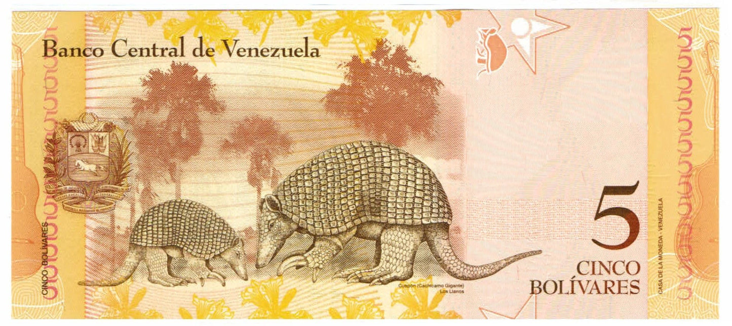 Pedro Camejo 5 Bolivares Venezuela Authentic Banknote for Craft Making (Giant Armadillo)